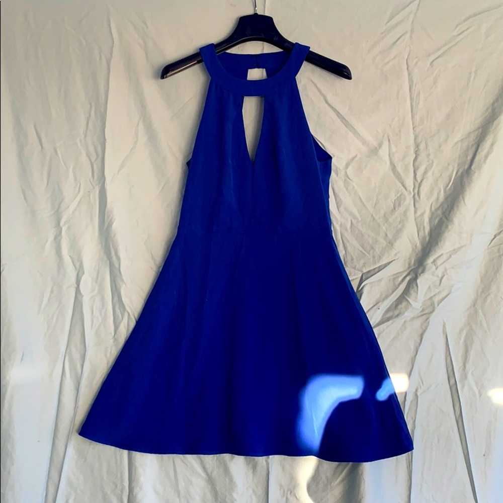 Cream & sugar electric blue dress